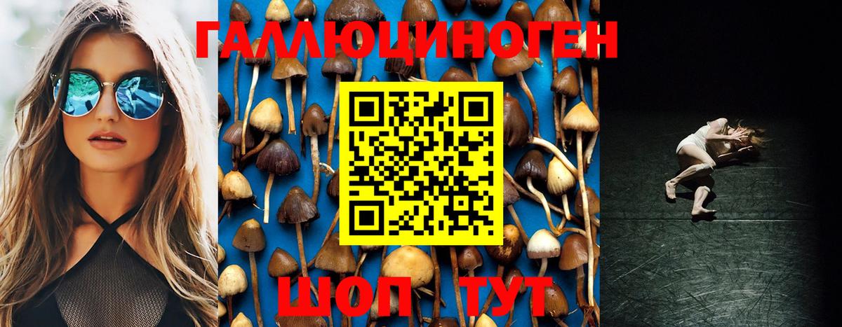 Псилоцибиновые грибы GOLDEN TEACHER  продажа наркотиков  Лабытнанги  Псилоцибиновые грибы GOLDEN TEACHER  Вход с VPN 